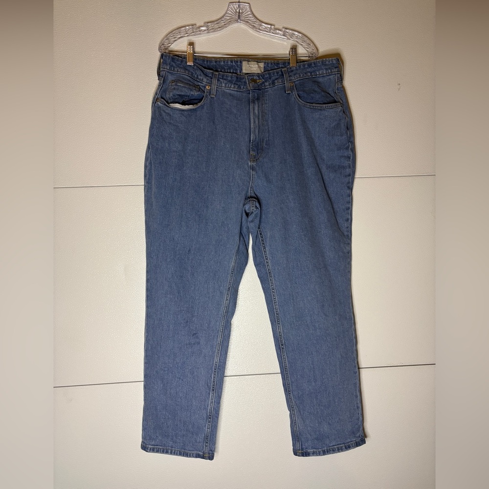 Everlane‎ Curvy Cheeky Women's Straight Leg Blue Jeans